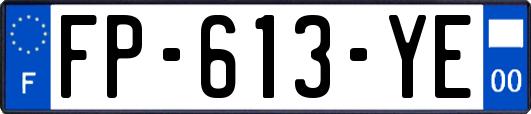 FP-613-YE