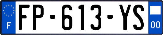FP-613-YS
