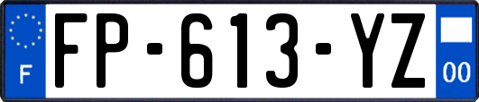 FP-613-YZ