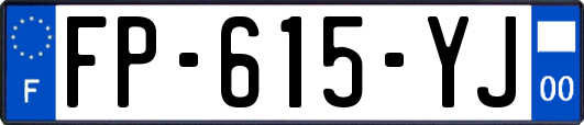 FP-615-YJ