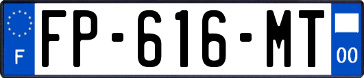 FP-616-MT