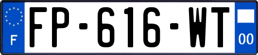 FP-616-WT