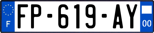 FP-619-AY