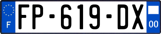 FP-619-DX