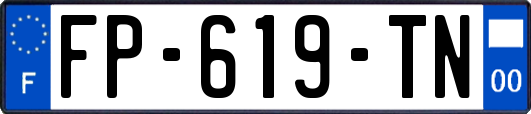 FP-619-TN