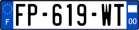 FP-619-WT
