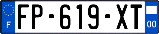 FP-619-XT