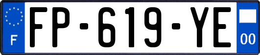 FP-619-YE