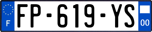 FP-619-YS