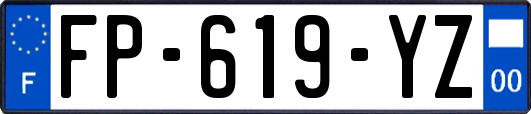 FP-619-YZ