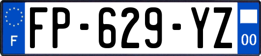 FP-629-YZ