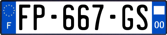 FP-667-GS
