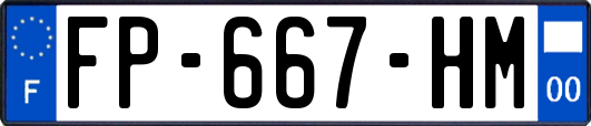 FP-667-HM