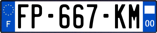 FP-667-KM