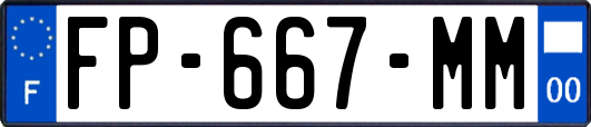 FP-667-MM