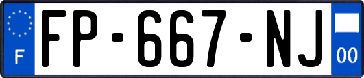 FP-667-NJ