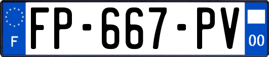 FP-667-PV