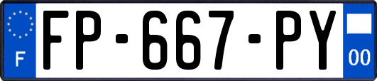 FP-667-PY