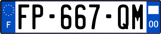 FP-667-QM