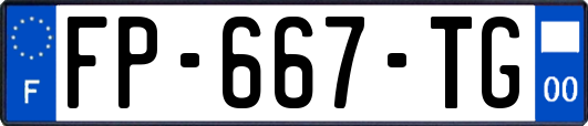 FP-667-TG