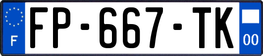 FP-667-TK