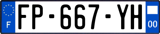 FP-667-YH