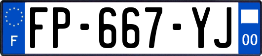 FP-667-YJ