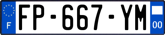 FP-667-YM