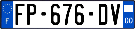 FP-676-DV