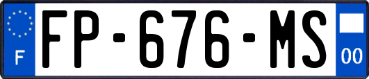 FP-676-MS