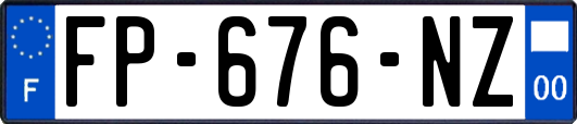 FP-676-NZ