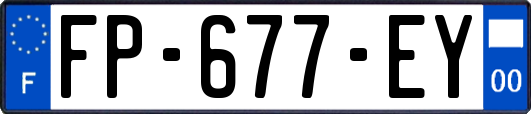 FP-677-EY