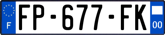 FP-677-FK