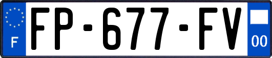 FP-677-FV