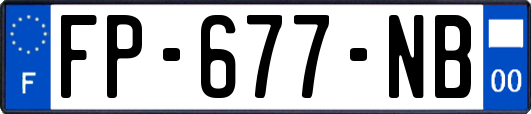FP-677-NB