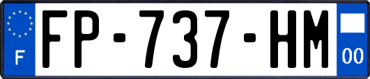 FP-737-HM