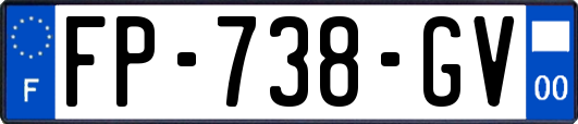 FP-738-GV