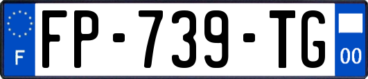 FP-739-TG