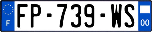 FP-739-WS