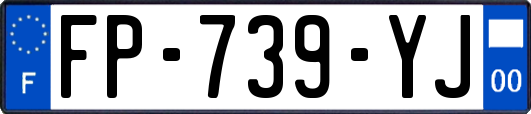 FP-739-YJ
