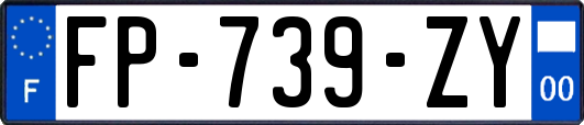 FP-739-ZY