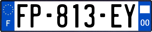 FP-813-EY