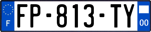 FP-813-TY