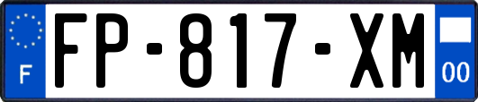 FP-817-XM