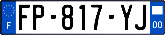 FP-817-YJ