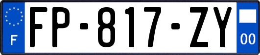 FP-817-ZY