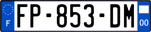 FP-853-DM