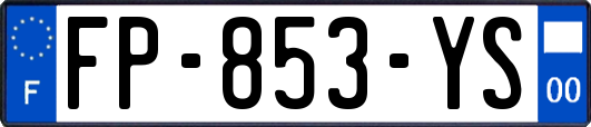 FP-853-YS