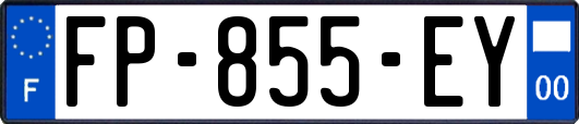FP-855-EY