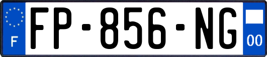 FP-856-NG